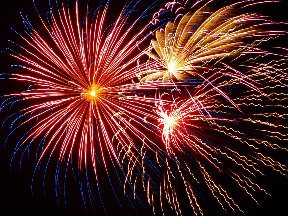 A long-exposure photograph of fireworks exploding against a deep black sky. Red, blue, and gold squiggles look like flowers, sea anemones, or perhaps a US flag.