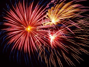 A long-exposure photograph of fireworks exploding against a deep black sky. Red, blue, and gold squiggles look like flowers, sea anemones, or perhaps a US flag.