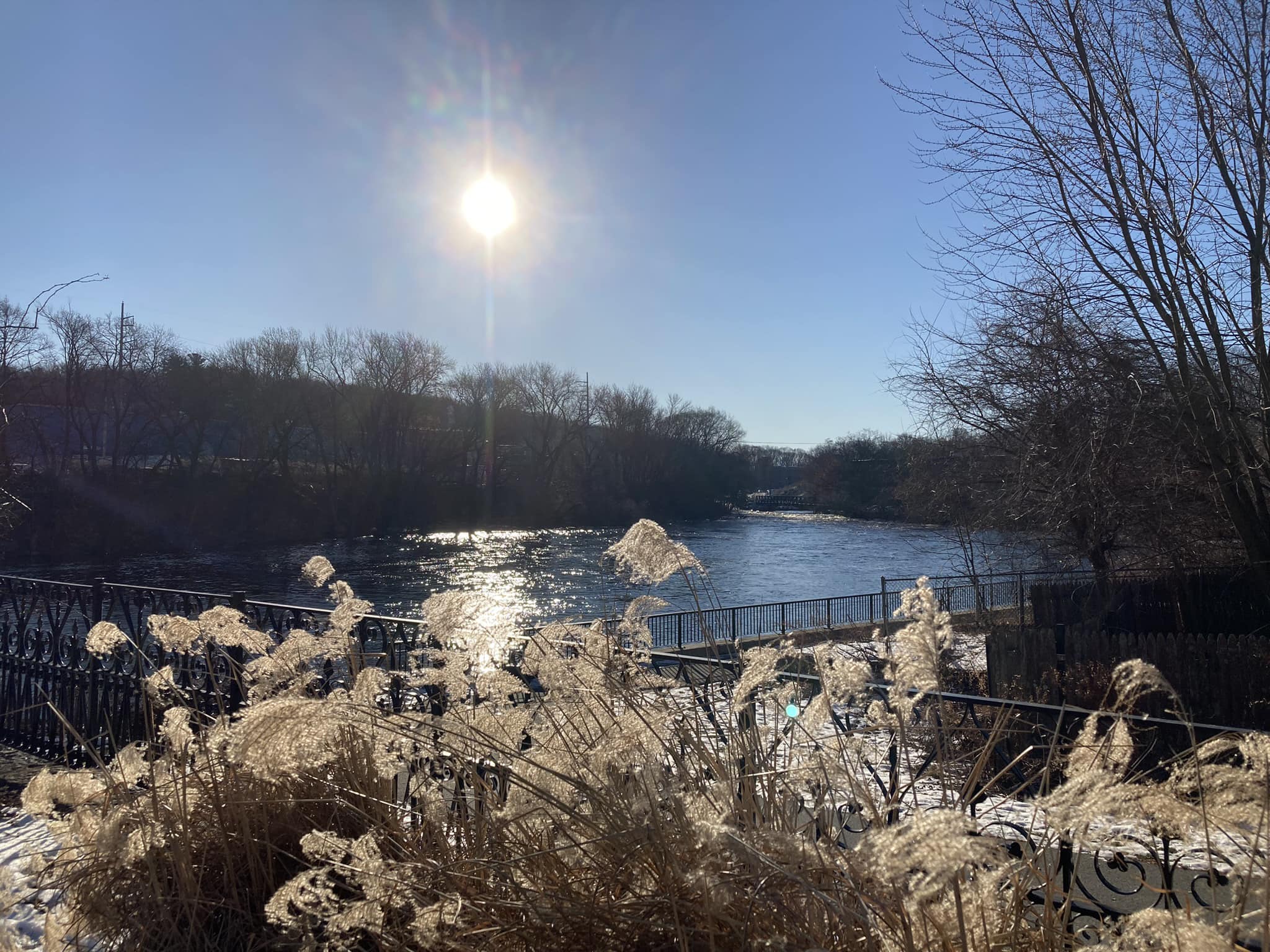 Photo of a snowy riverside on a bright-blue day, with wintery grasses in the foreground