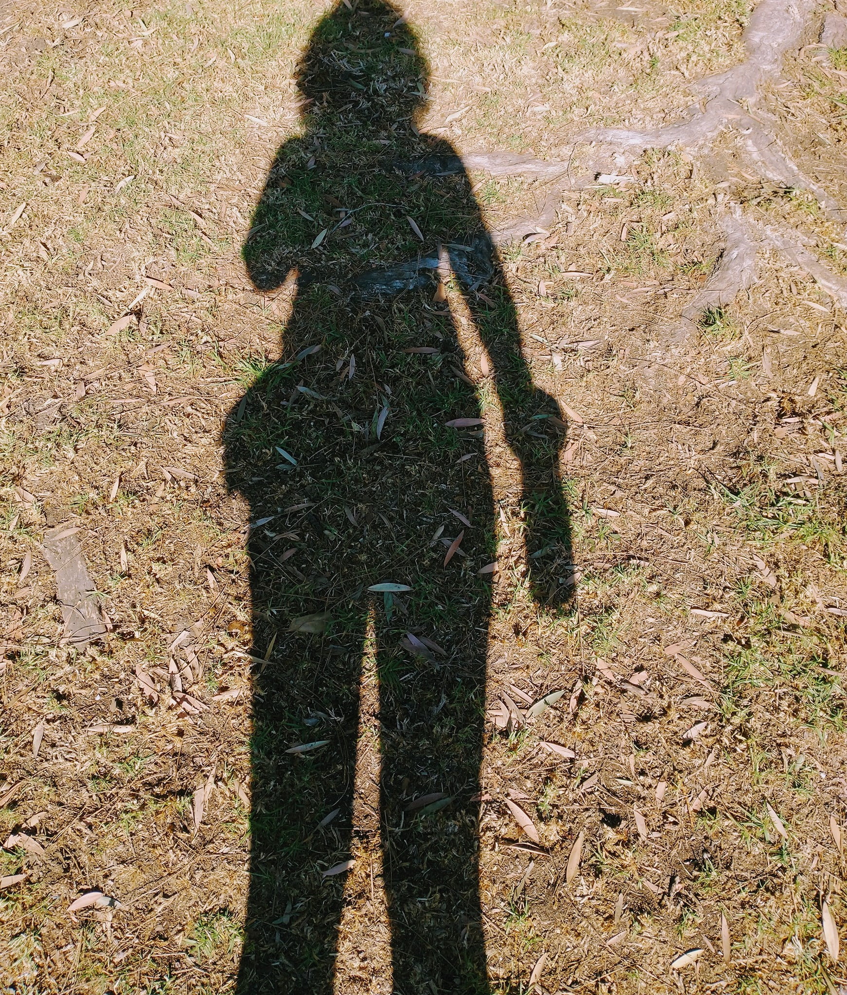 Photo of my shadow on a dry patch of grass in my local park