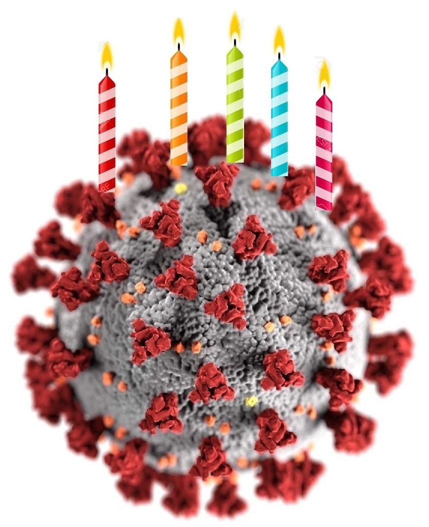 Accurate microscopic image of the novel coronavirus, with birthday candles drawn on top of it