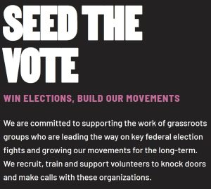 A screenshot from the website of seedthevote.org. White text on a black background says "SEED THE VOTE" with red text underneath saying "WIN ELECTIONS. BUILD OUR MOVEMENTS". Under that, in smaller white text, it says, "We are committed to supporting the work of grassroots groups who are leading the way on key federal election fights and growing our movements for the long-term. We recruit, train and support volunteers to knock doors and make calls with these organizations."