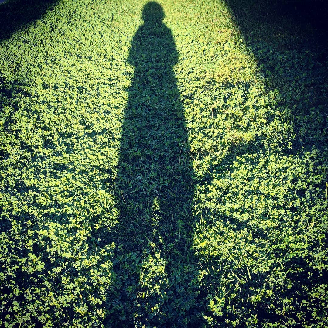 My shadow stretching out very long on a patch of very green lawn