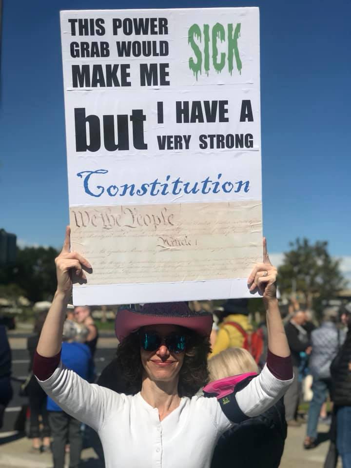 Photo of me at a protest in February 2019, holding a sign that says "This power grab would make me sick, but I have a very strong Constitution"